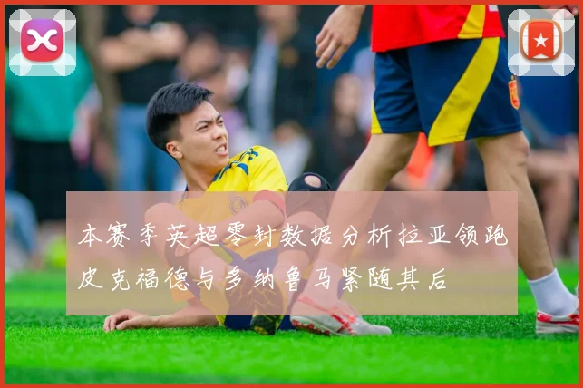 本赛季英超零封数据分析拉亚领跑皮克福德与多纳鲁马紧随其后